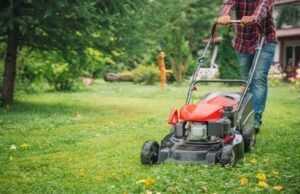 How to Maintain Your Lawn Turf Maintain Your Lawn Turf