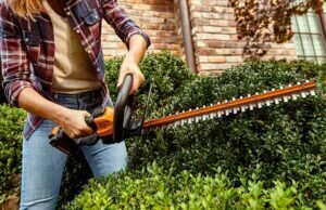 Things To Consider When Buying Hedge Trimmer Hedge Trimmer