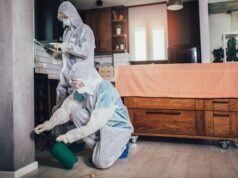 A Brief Guide To Spider Bites: Symptoms, Signs & Treatment for your home spider control