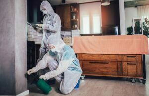 A Brief Guide To Spider Bites: Symptoms, Signs & Treatment for your home spider control