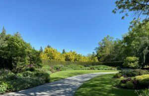 Things to know about landscaping landscaping