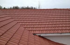 Different Types of Roof Stains and How to Deal With Them Roof Stains