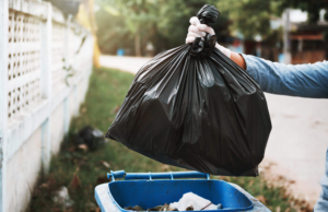What You Should Know About Various Forms of Waste Various Forms of Waste