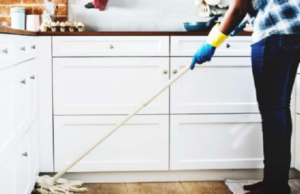 Expert Guide to Maintaining a Spotless and Hygienic Kitchen Hygienic Kitchen