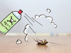 10 Myths About Pests We Need to Know About Pests