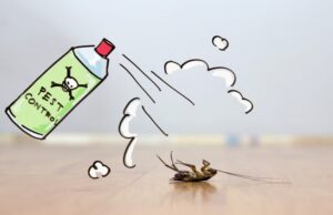 10 Myths About Pests We Need to Know About Pests