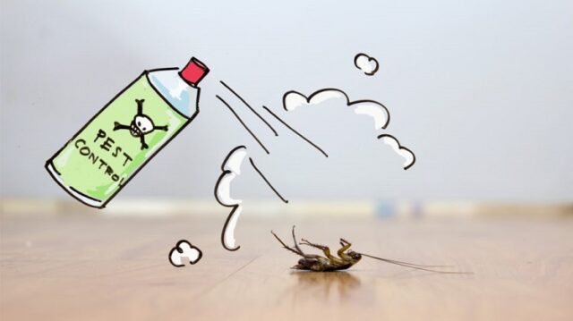 Pests