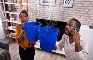 Effortless Water Removal Services in Flatirons Water Removal