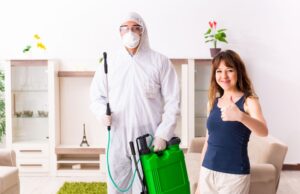 Mouse Damage – The Cost of an Infestation Pest Control