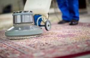 Is Professional Carpet Cleaning Worth It for Your Home or Business in Pennsylvania? Carpet Cleaning