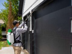 Common Entry Points Pests Use to Invade Your Indianapolis Home Indianapolis Home