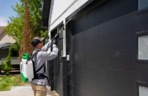 Common Entry Points Pests Use to Invade Your Indianapolis Home Indianapolis Home